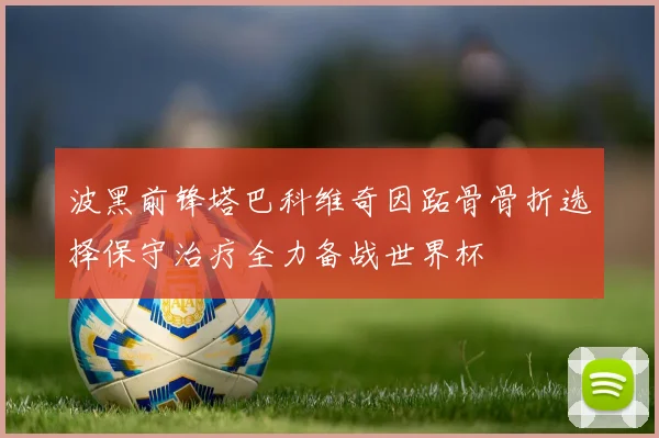 波黑前锋塔巴科维奇因跖骨骨折选择保守治疗全力备战世界杯