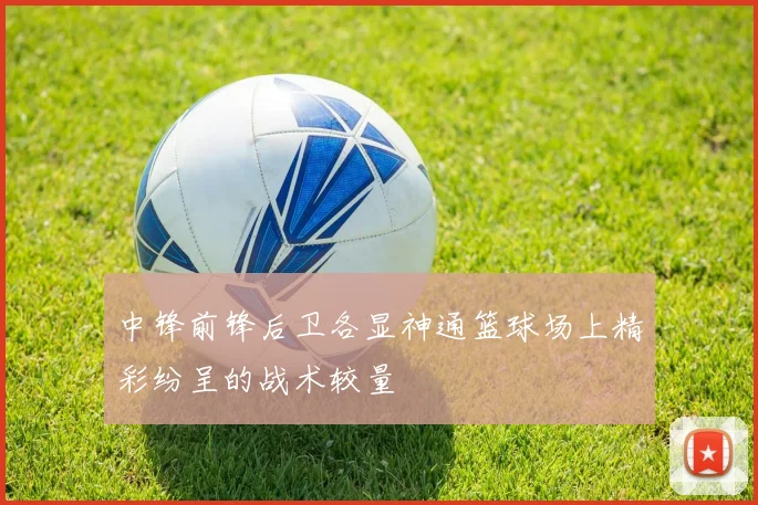 中锋前锋后卫各显神通篮球场上精彩纷呈的战术较量